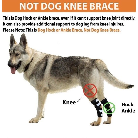 Neoally Dog/Cat Rear Leg Braces w/ Ultra Spring Support XS Long Injury Arthritis - Picture 11 of 16